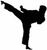 Dax-Sports Karate